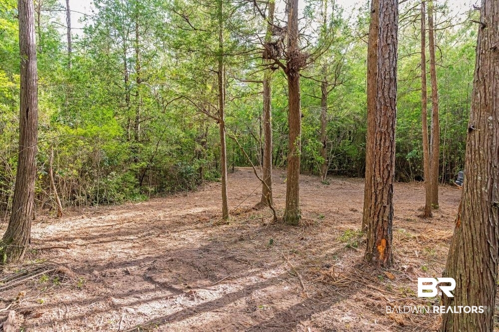 11100 Kali Oka Road Eight Mile, AL 36613 - Photo 35 of 49