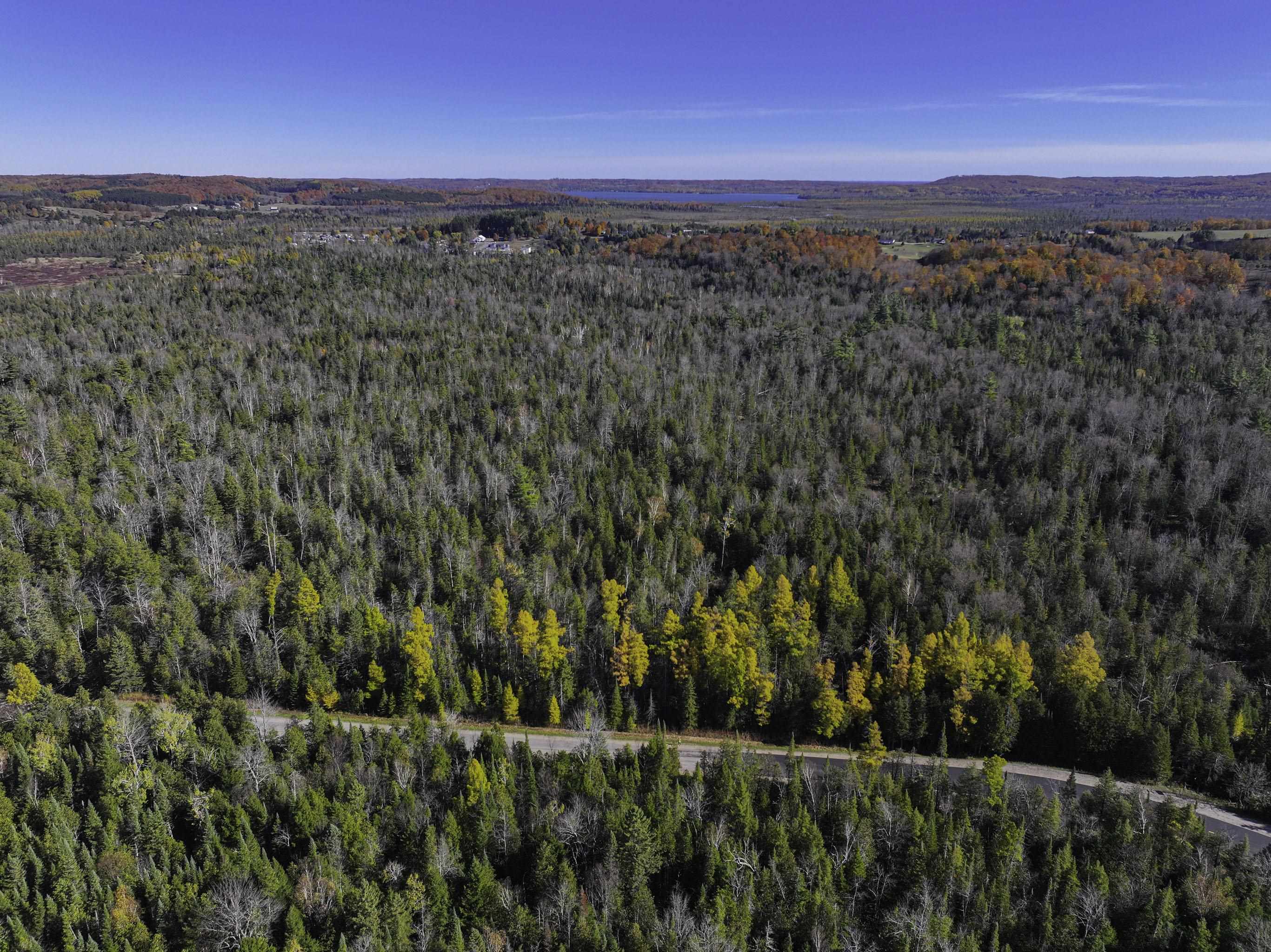 0 East Valley Road Cedar, MI 49621 - Photo 12 of 28
