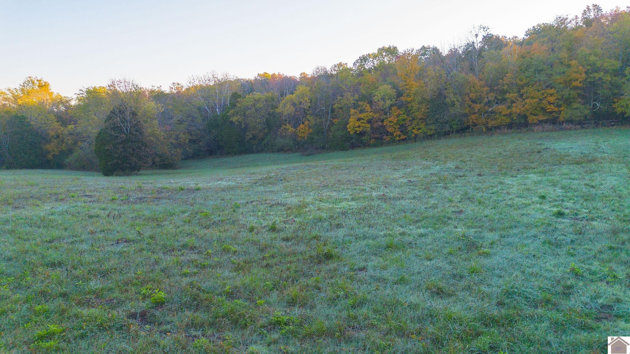 0 Cadiz Road Princeton, KY 42445 - Photo 6 of 14 Photo 6