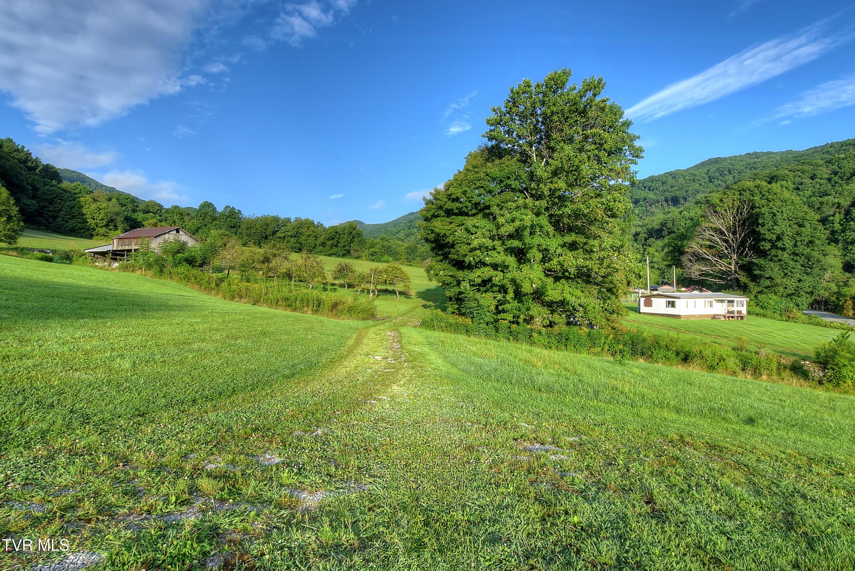 1841 Rice Creek Road Flag Pond, TN 37657 - Photo 11 of 45 DSC_0193_4_5_6_7_8
