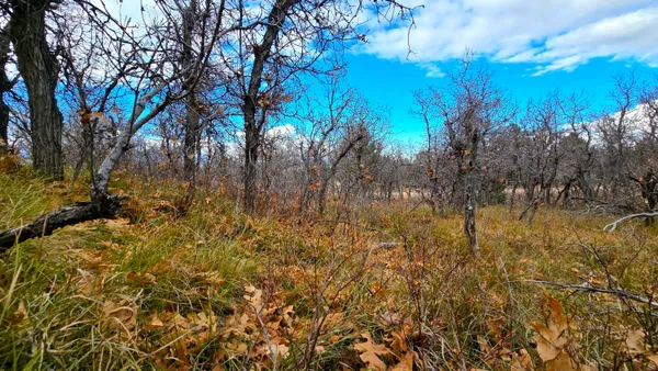 $80,000 | 138 East Oak Ridge Drive Dr Mount, Unit 138, Mount Pleasant, UT 84647