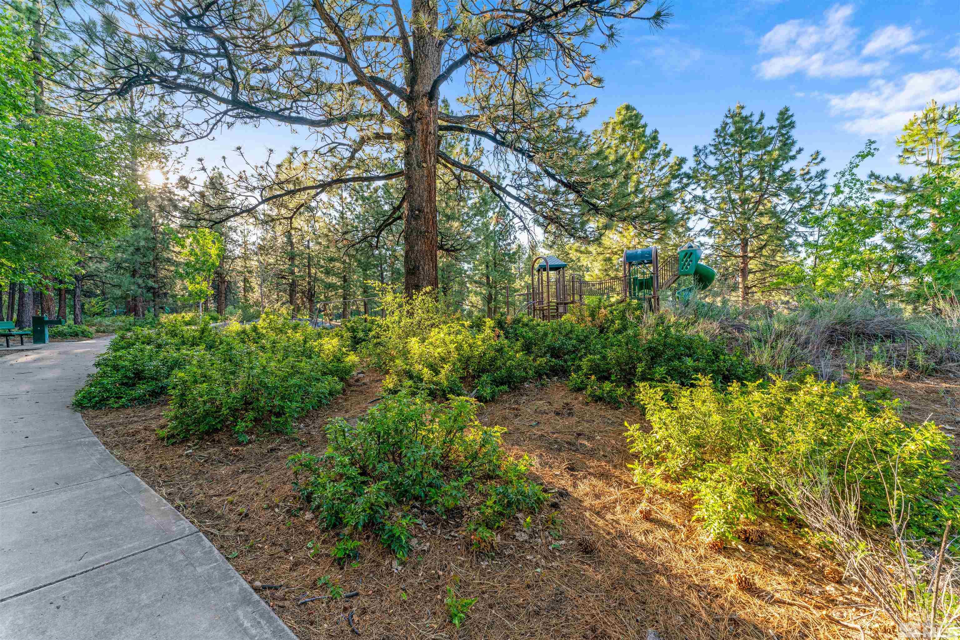 0 Goldenrod Reno, NV 89511 - Photo 24 of 27 Photo 24