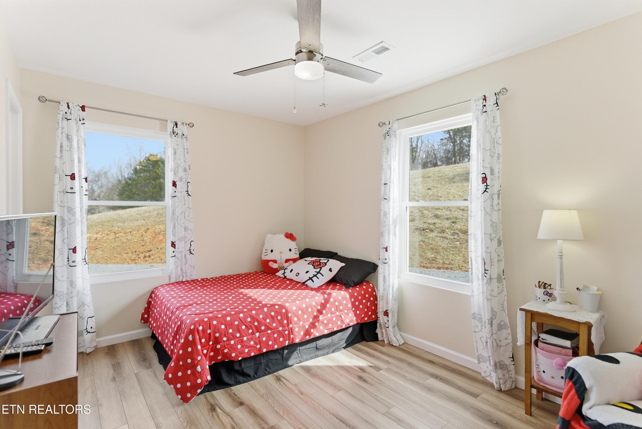 6911 Fairview Road Corryton, TN 37721 - Photo 20 of 30 a bedroom with a bed and a window