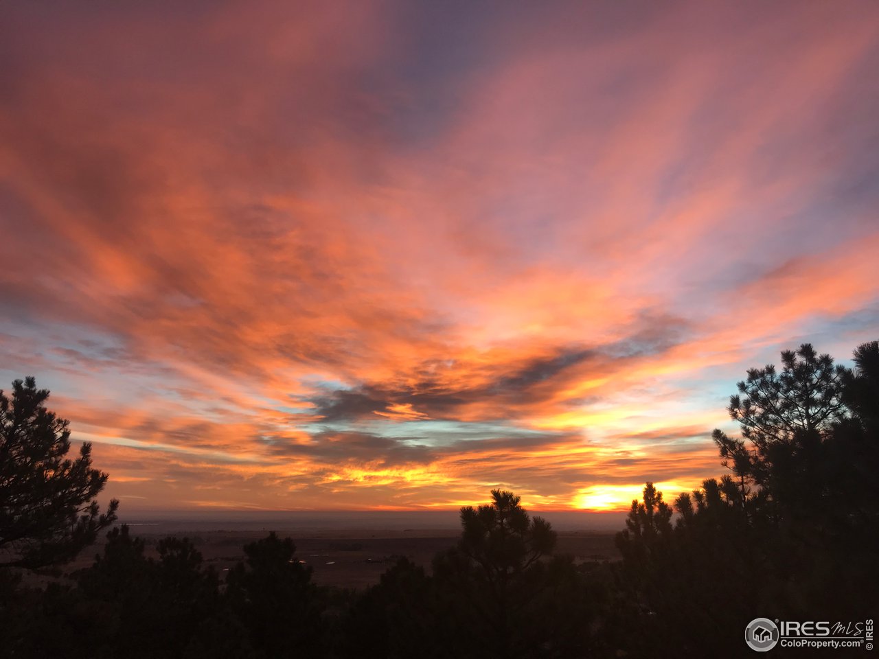 8553 West Fork Road Boulder, CO 80302 - Photo 37 of 37