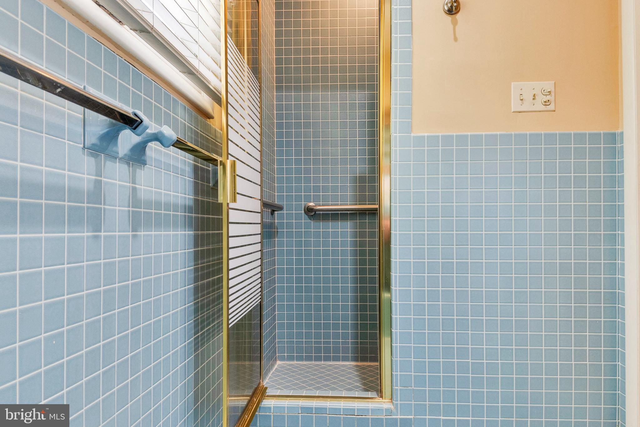 308 McDonough Road Annapolis, MD 21401 - Photo 23 of 64 Standing shower in primary bathroom