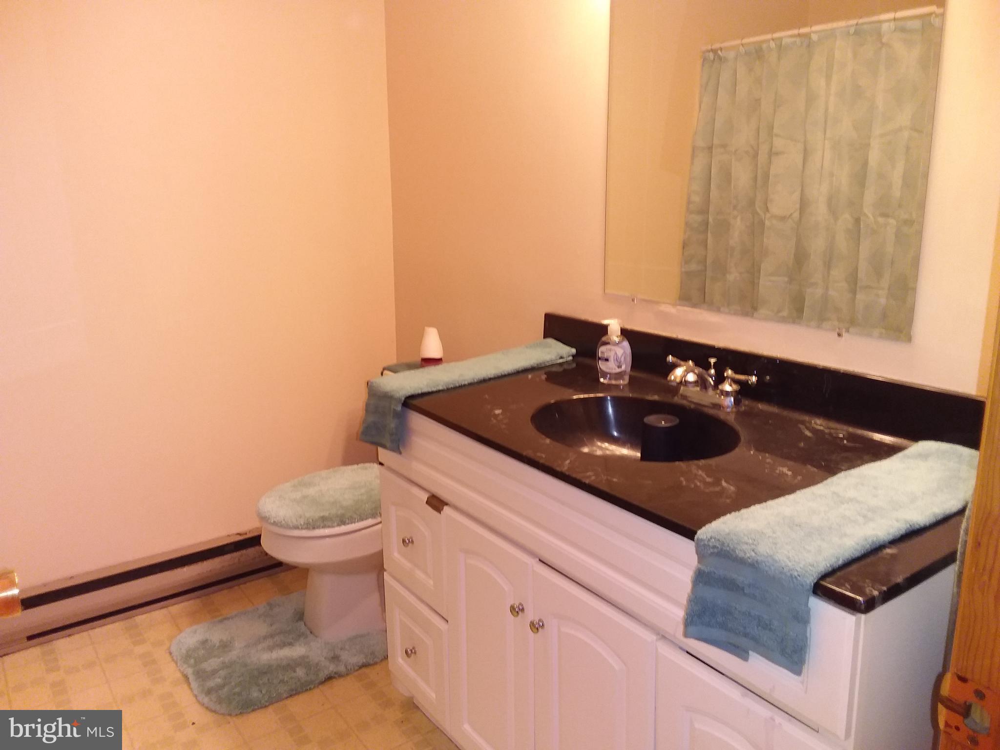 1655 Belvidere Road Port Deposit, MD 21904 - Photo 23 of 29 FULL BATH ON LOWER LEVEL