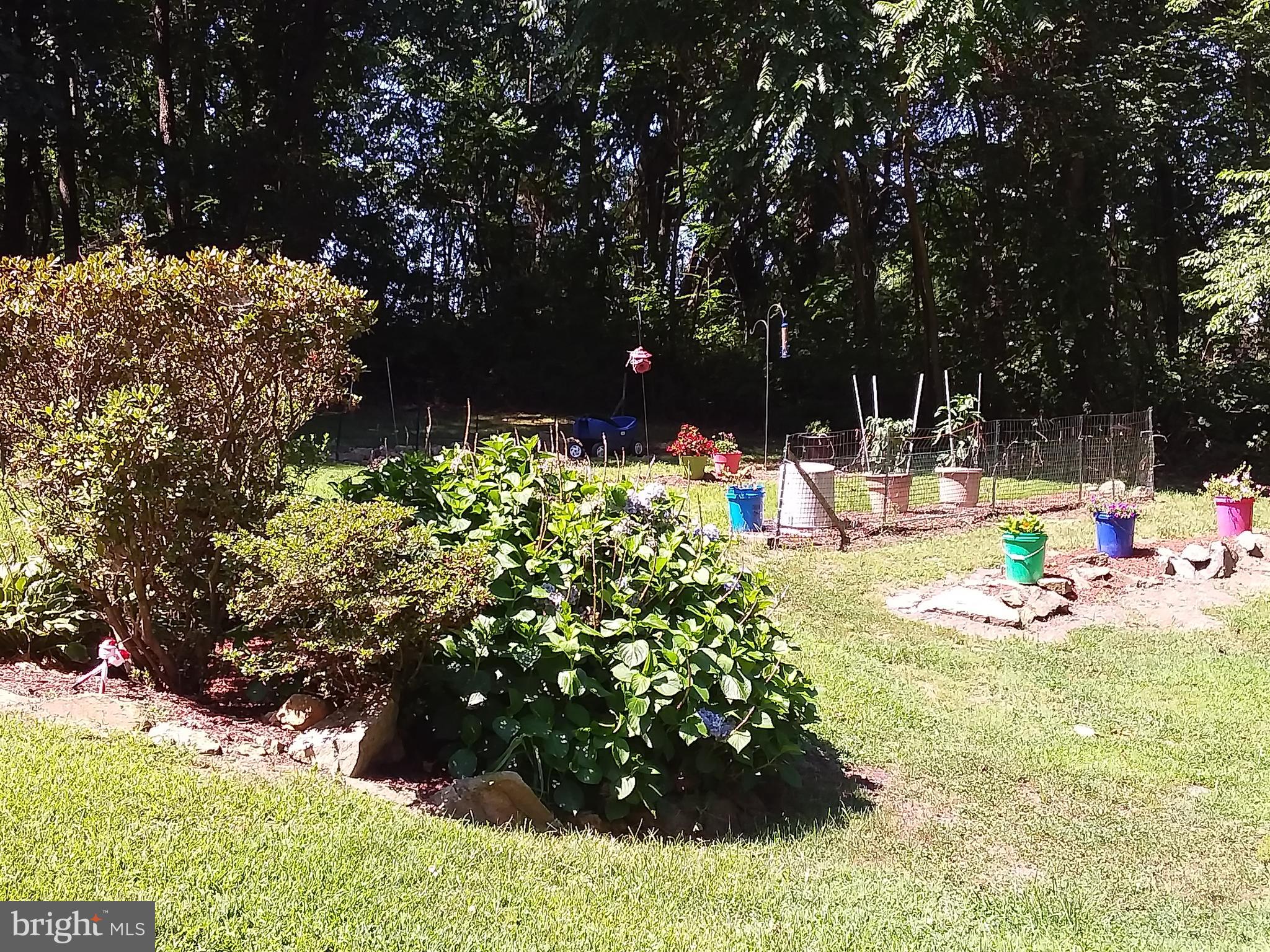1655 Belvidere Road Port Deposit, MD 21904 - Photo 6 of 29 Nice south facing garden area.