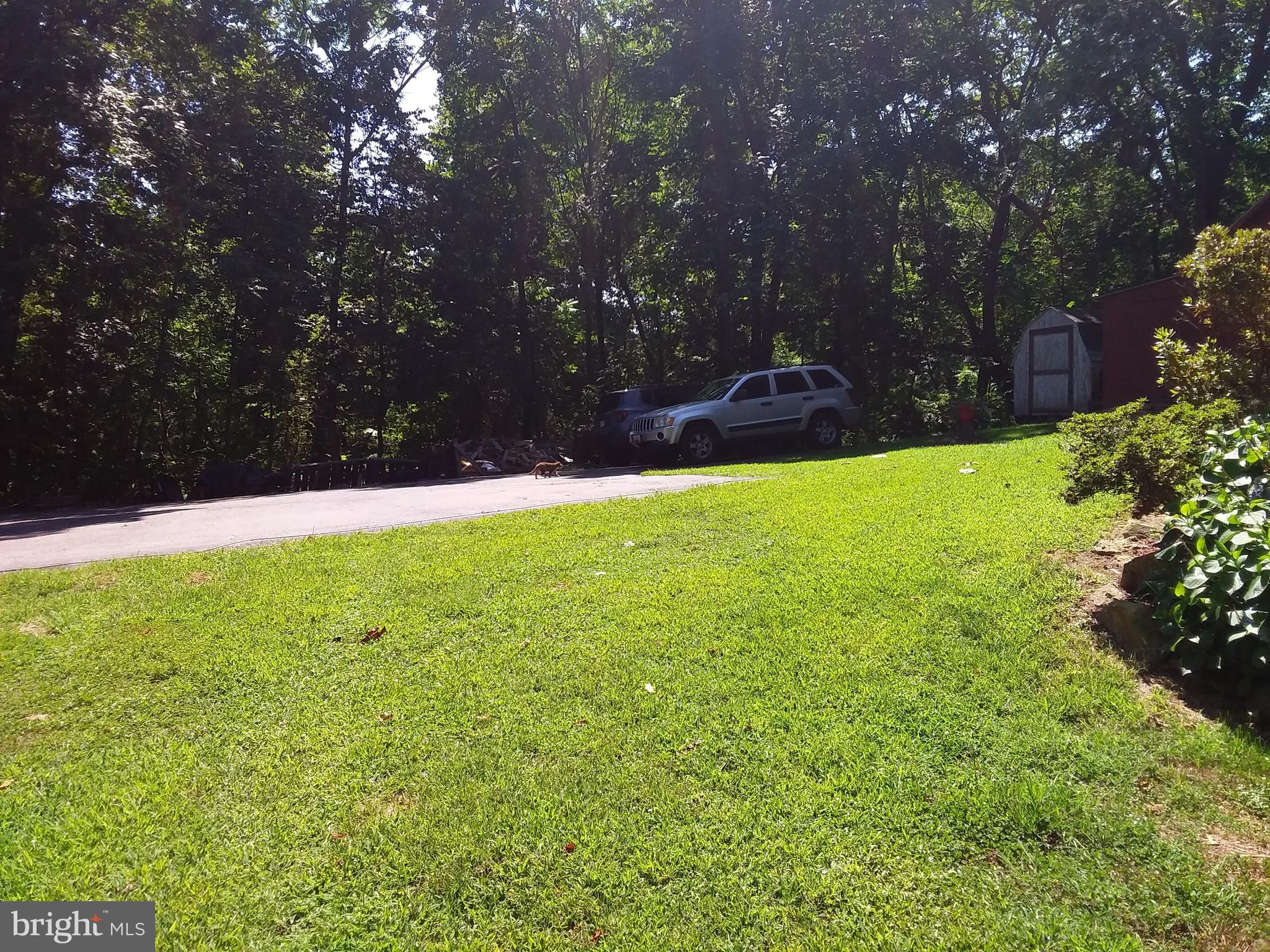 1655 Belvidere Road Port Deposit, MD 21904 - Photo 7 of 29 Parking area will fit 8 cars with ease