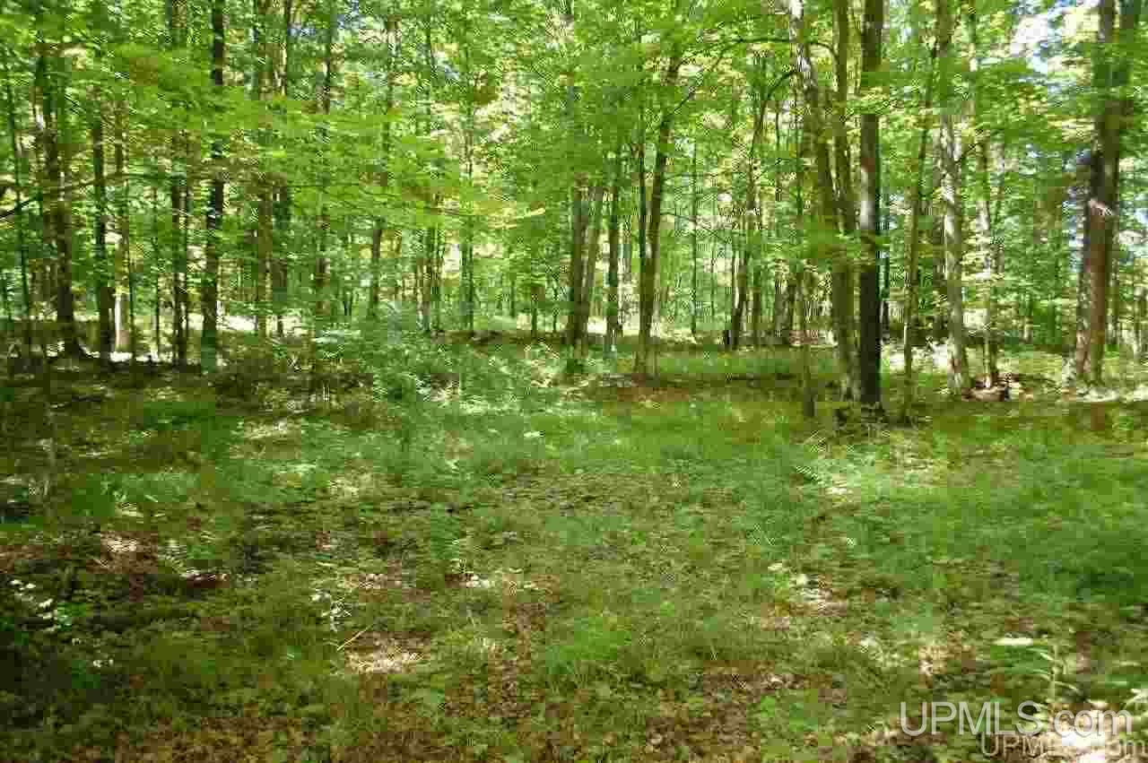 Tbd Newberg Road Channing, MI 49815 - Photo 12 of 29
