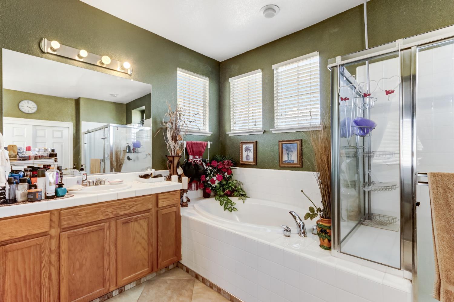 9820 Spring View Way Elk Grove, CA 95757 - Photo 33 of 49 a bathroom with a bathtub sink and mirror