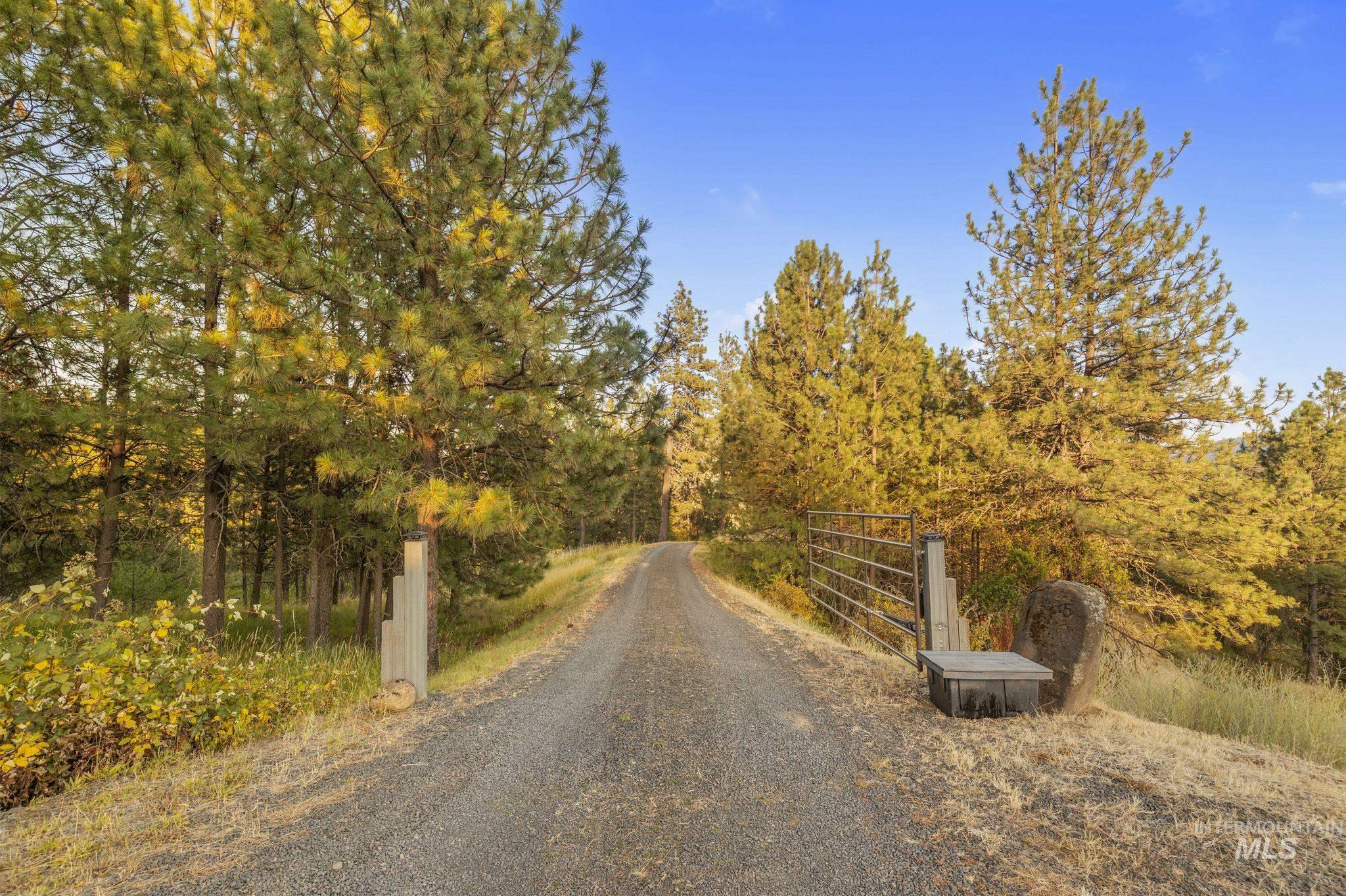 435 River Pointe Lane Lenore, ID 83541 - Photo 4 of 50 End of road privacy. Gravel driveway entry featuring a metal gate, wood posts, and surrounding mature pine trees