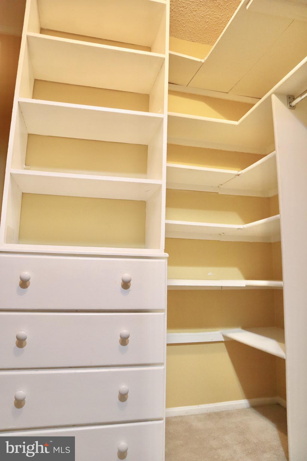 15107 Interlachen Drive, Unit 2119 Silver Spring, MD 20906 - Photo 18 of 53 a view of walk in closet with empty racks