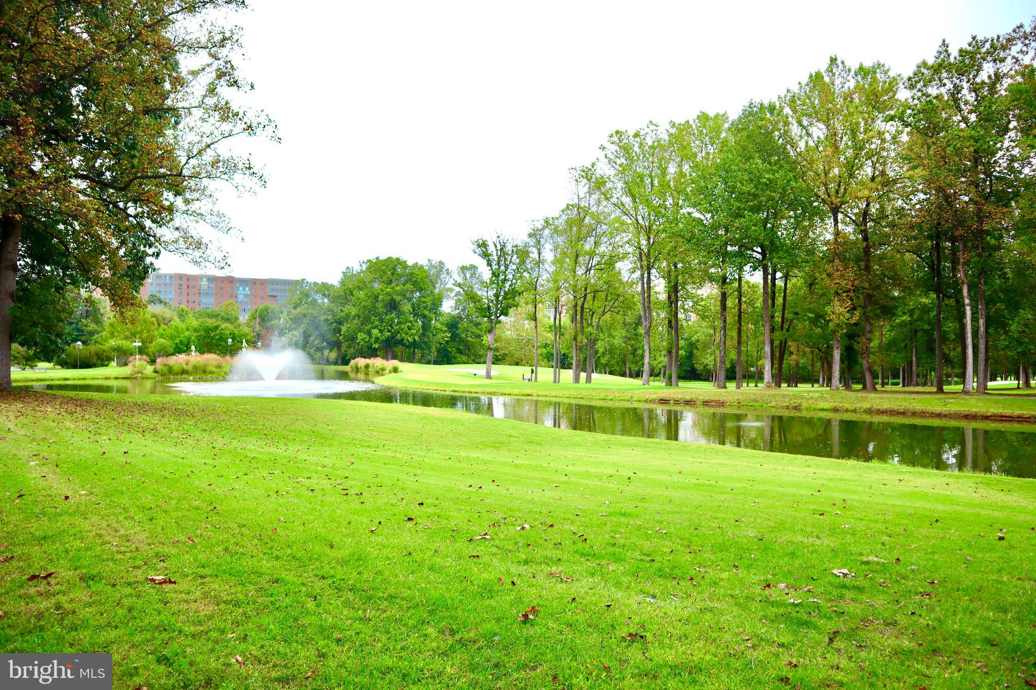 15107 Interlachen Drive, Unit 2119 Silver Spring, MD 20906 - Photo 4 of 53 a view of garden with trees