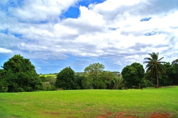 3889 A Lot 40 Omao Road Koloa, HI 96756 - Photo 1 of 11 Gallery Image 1