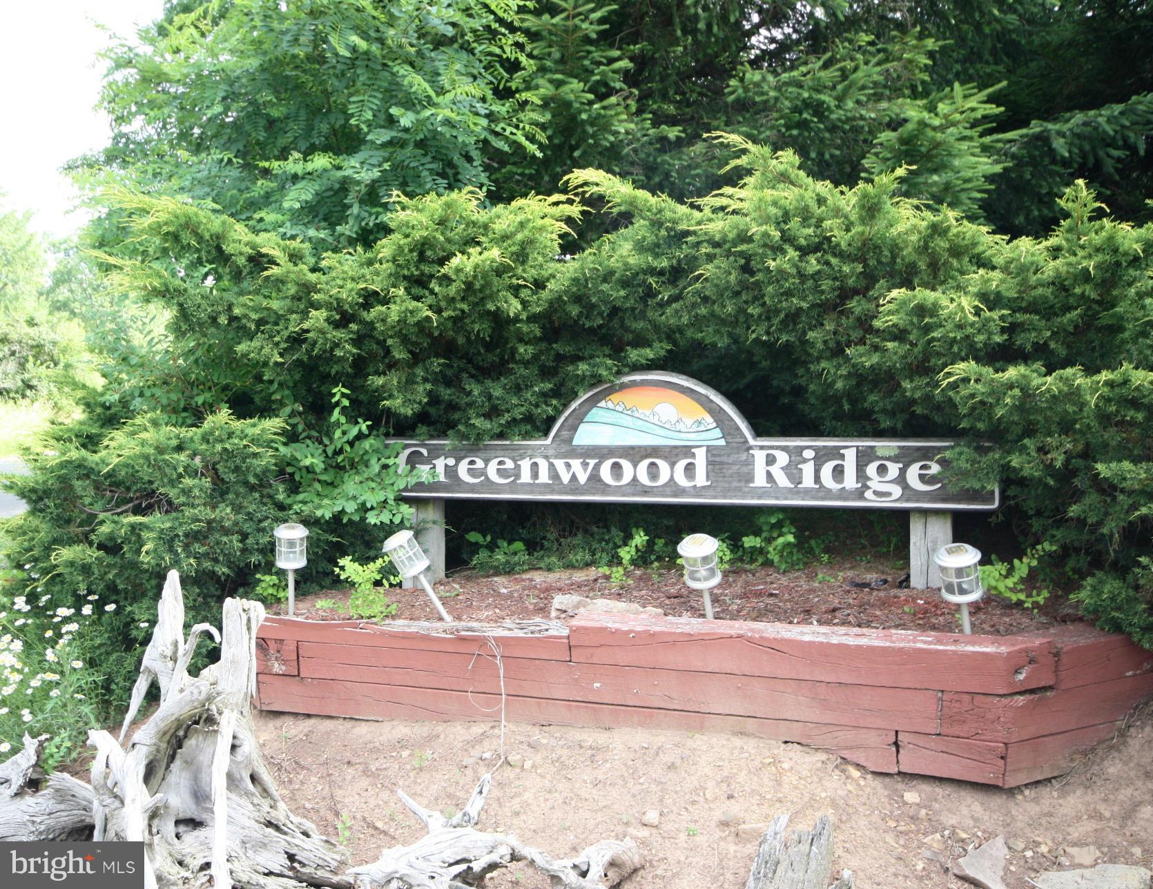 12 Greenwood Ridge Road Accident, MD 21520 - Photo 5 of 14 Community