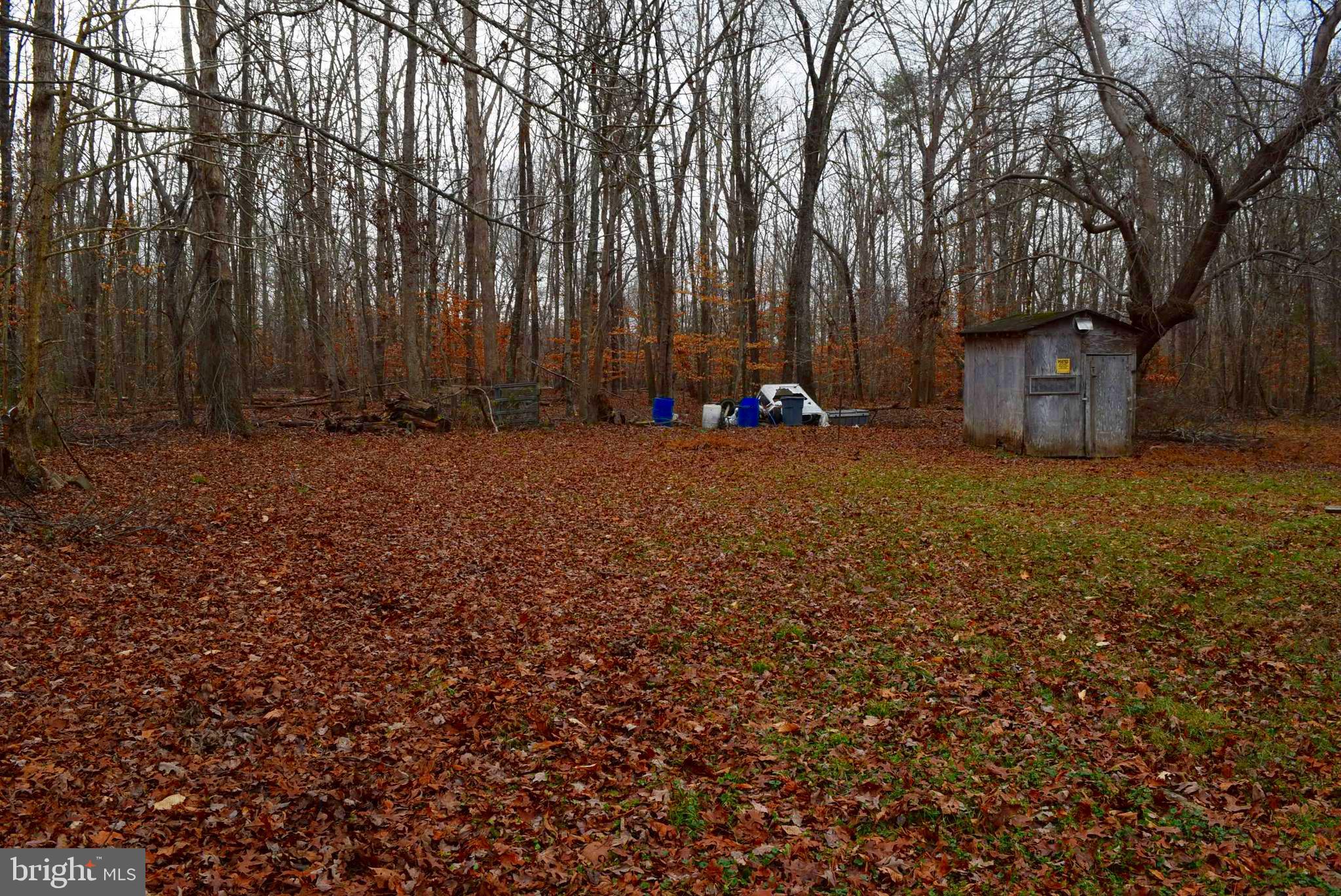 1144 Jackson Road Bumpass, VA 23024 - Photo 15 of 42 Rear Yard View