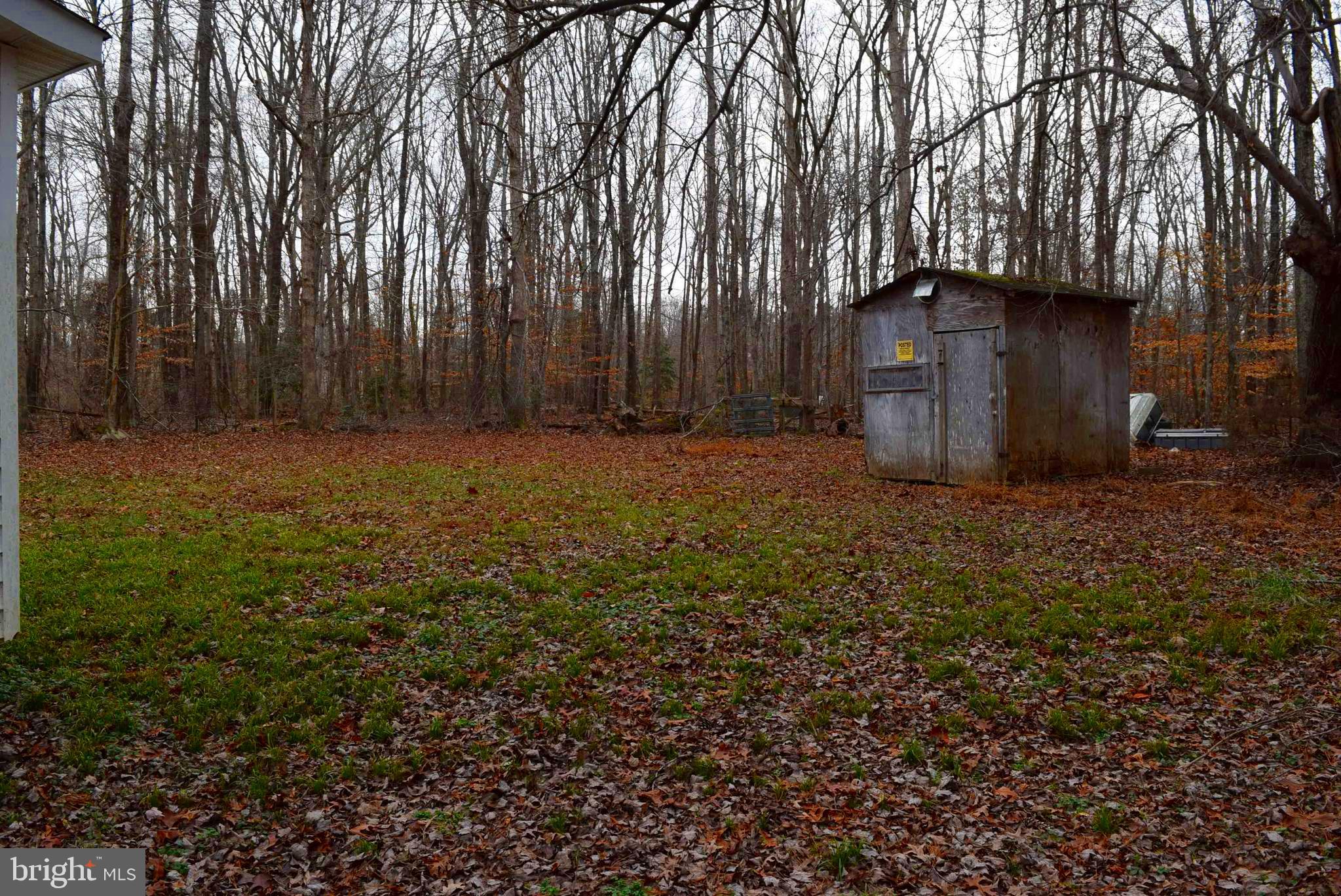 1144 Jackson Road Bumpass, VA 23024 - Photo 8 of 42 Rear Yard View