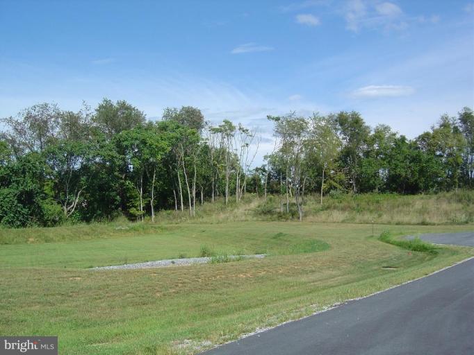 Engle Molers Road Shepherdstown, WV 25443 - Photo 13 of 14 a view of a grassy field with trees