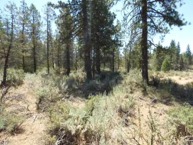 $27,500 | Widow Valley Road, McArthur, CA 96056