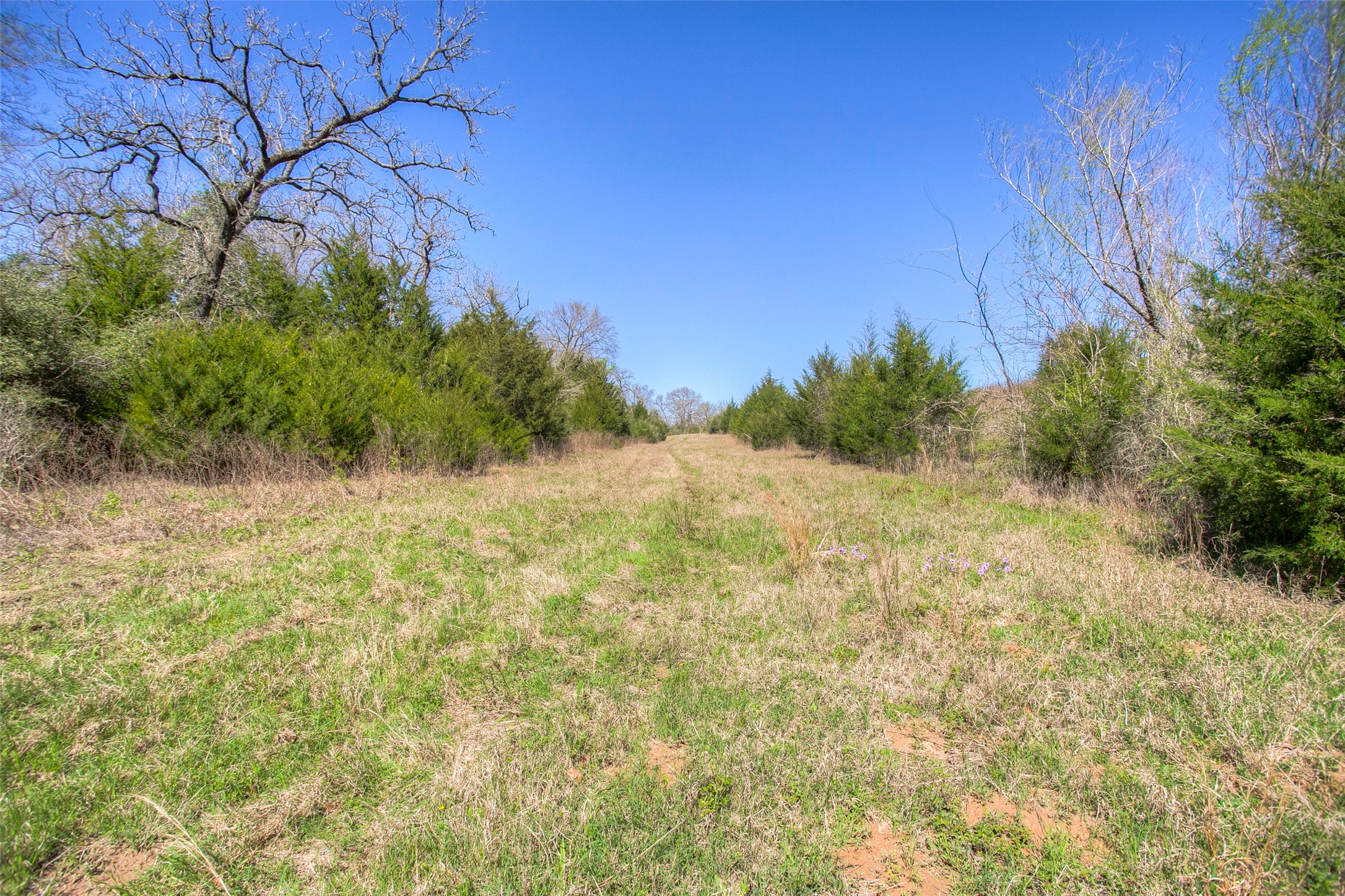 482 County Road 482 Normangee, TX 77871 - Photo 41 of 49