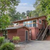 a view of a house with a yard plants and large tree