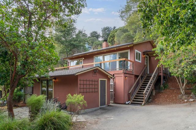 a view of a house with a yard plants and large tree