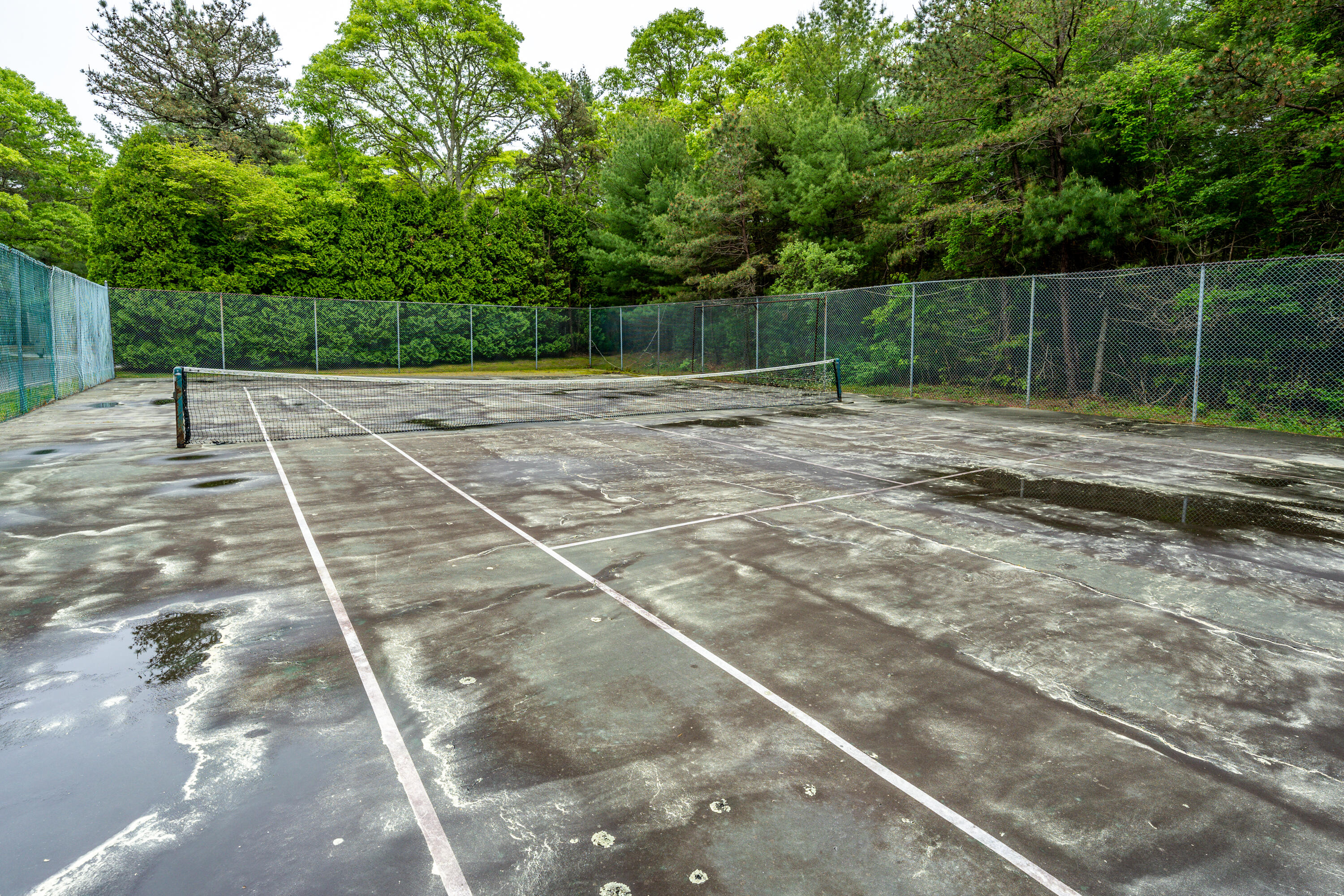 70 Cape Drive, Unit 12D Mashpee, MA 02649 - Photo 12 of 13 a view of a backyard