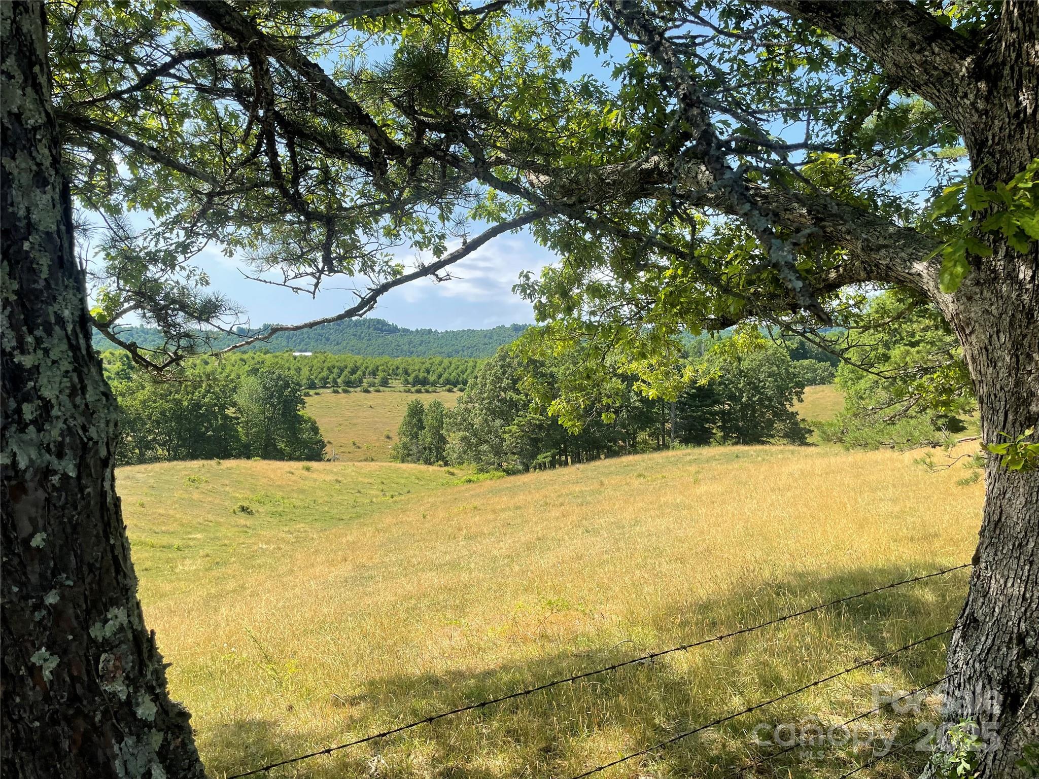 Tbd Summer Road Hendersonville, NC 28792 - Photo 11 of 19 a view of a yard with an outdoor space