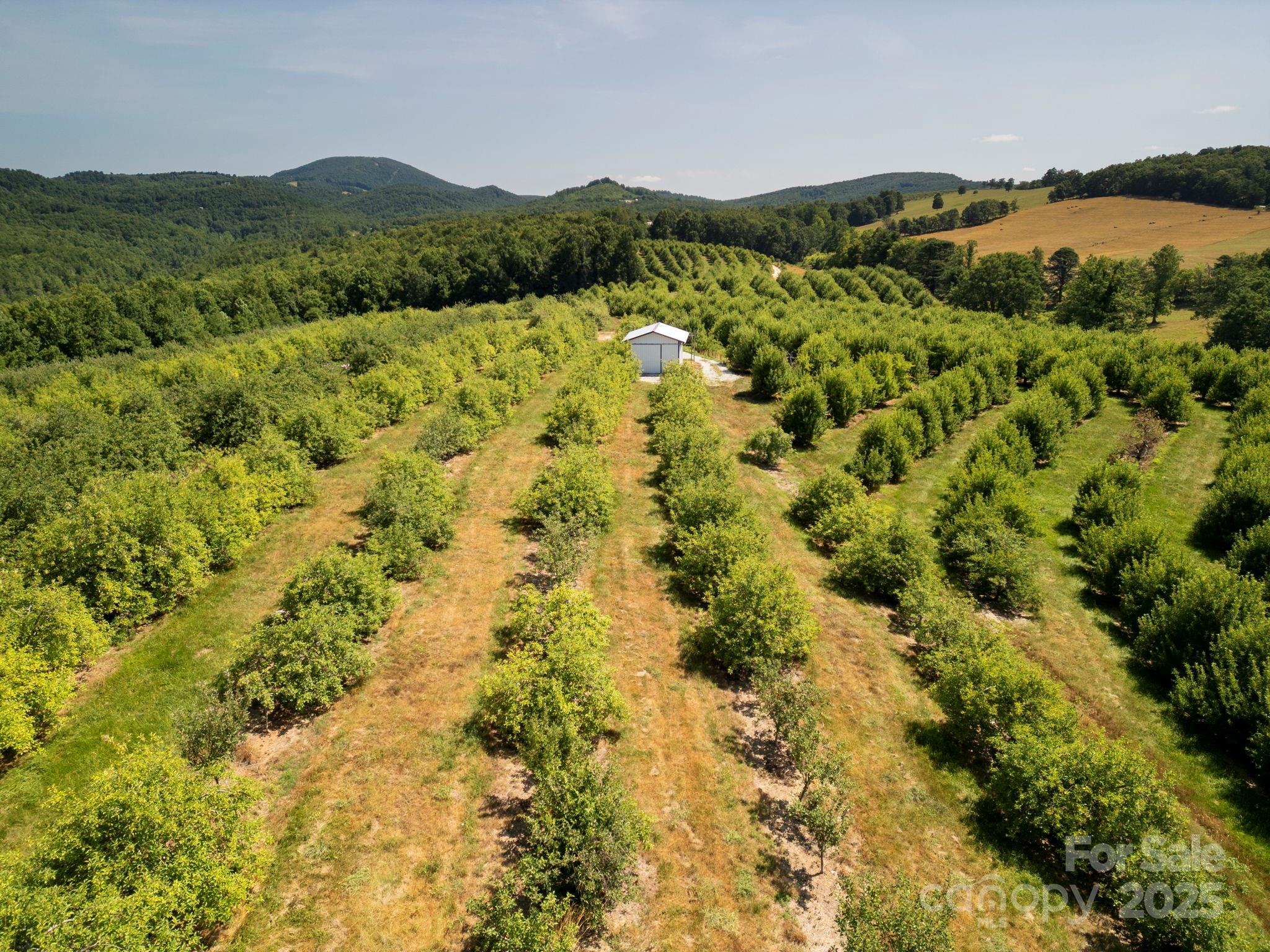 Tbd Summer Road Hendersonville, NC 28792 - Photo 16 of 19 a view of a lush green field with mountains in the background