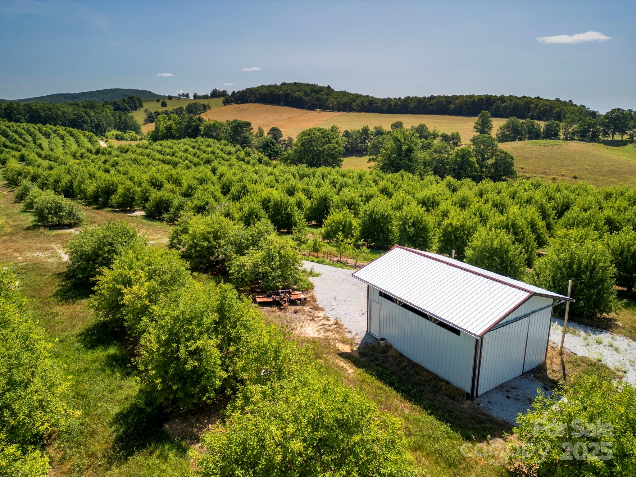 Tbd Summer Road Hendersonville, NC 28792 - Photo 17 of 19 a view of a big yard with potted plants and large tree