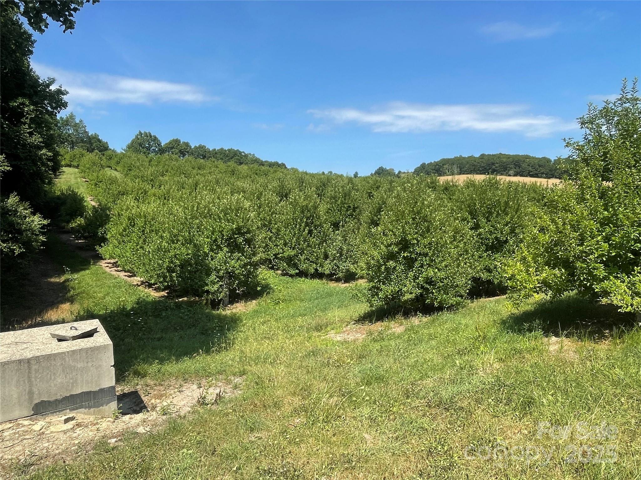Tbd Summer Road Hendersonville, NC 28792 - Photo 3 of 19 a view of a lake with mountains in the background