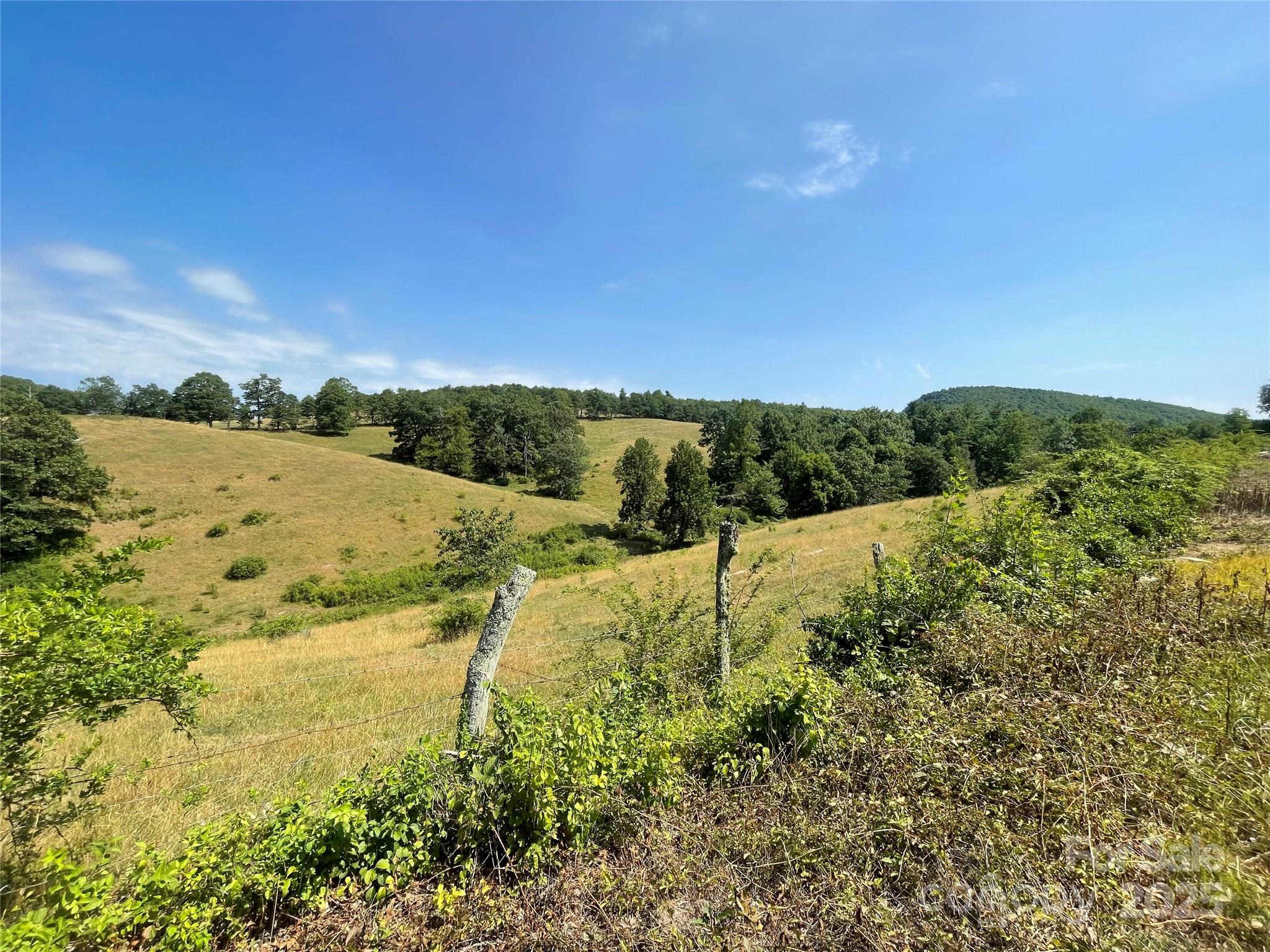 Tbd Summer Road Hendersonville, NC 28792 - Photo 5 of 19 a view of lake view with mountain