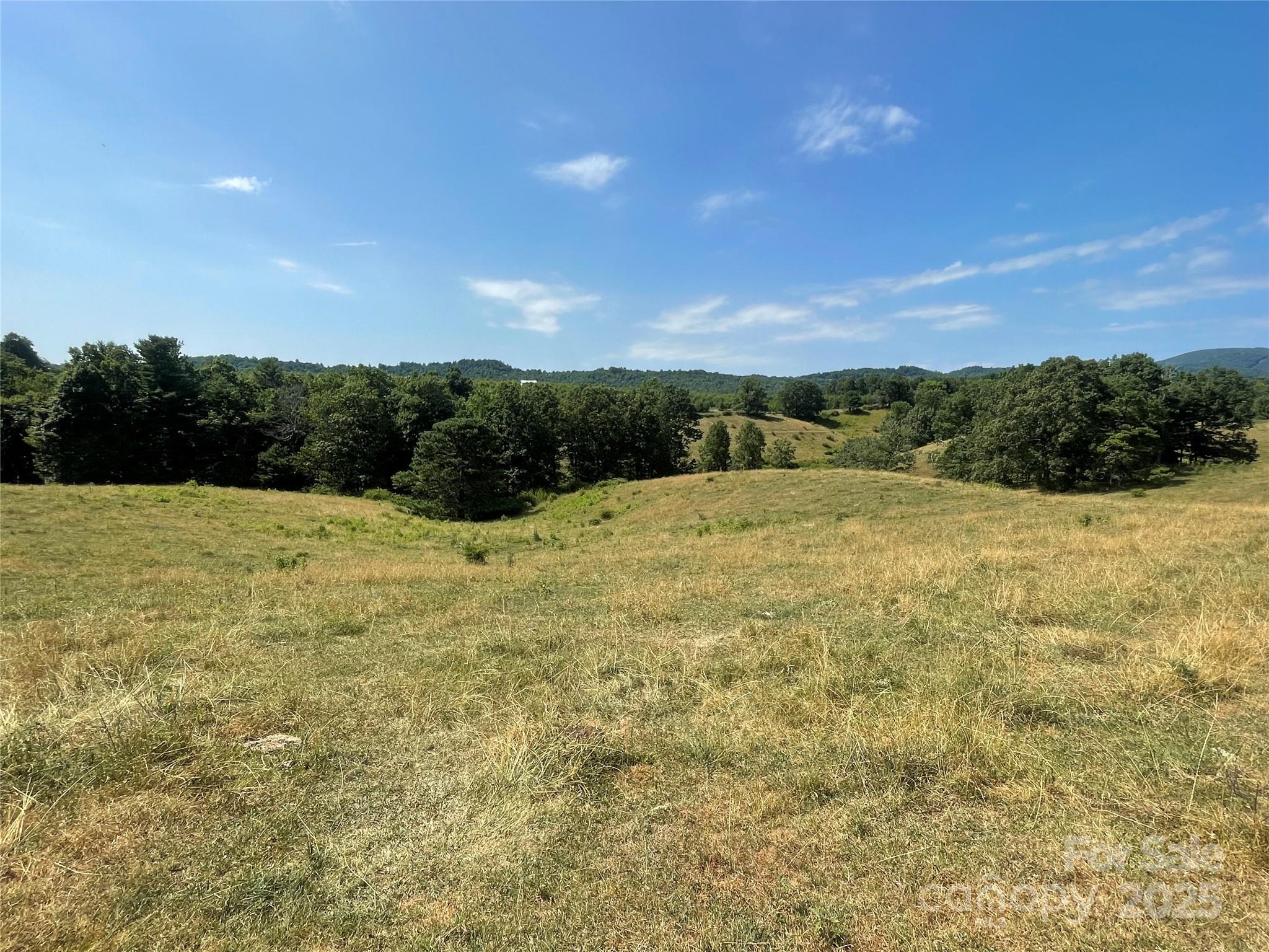 Tbd Summer Road Hendersonville, NC 28792 - Photo 8 of 19 a view of an outdoor space and a yard