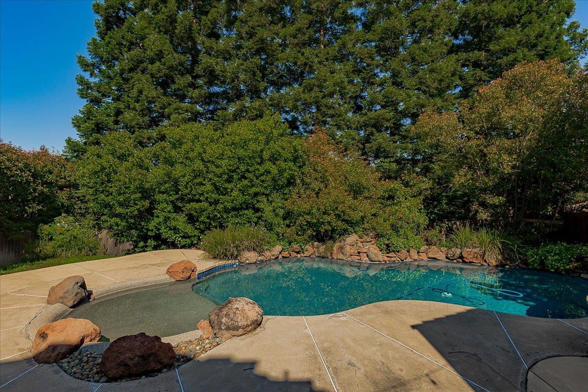 2565 Bertella Road Cameron Park, CA 95682 - Photo 29 of 31 a view of a backyard with a sink