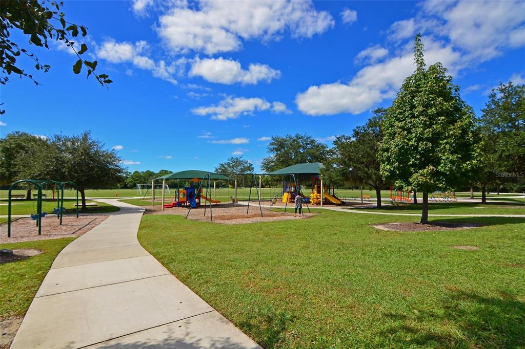 12709 Nightshade Place Lakewood Ranch, FL 34202 - Photo 39 of 53 a swimming pool with lots of tress in the background