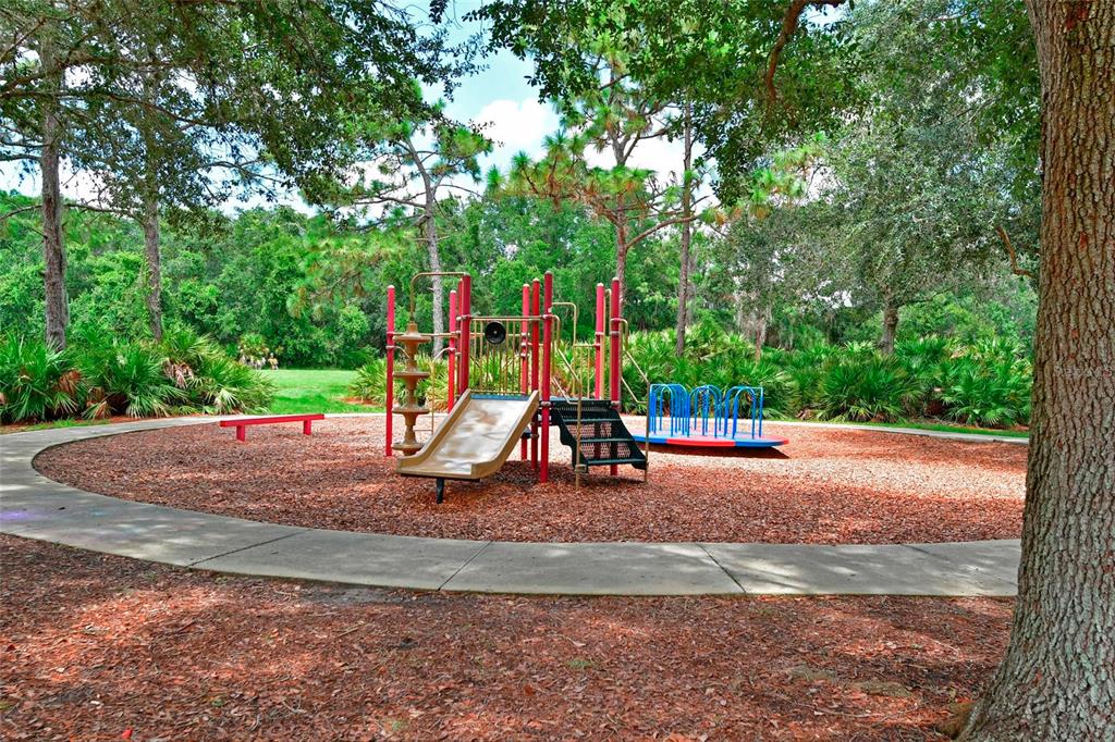 12709 Nightshade Place Lakewood Ranch, FL 34202 - Photo 47 of 53