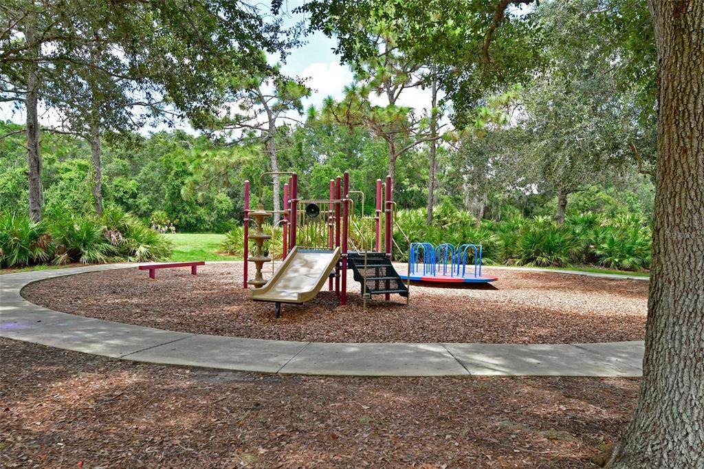 12709 Nightshade Place Lakewood Ranch, FL 34202 - Photo 51 of 53 a view of a park