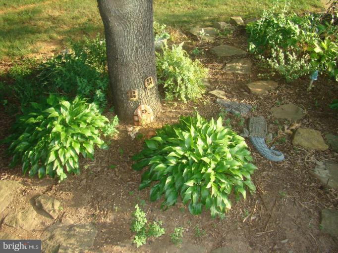 16145 Sheads Mountain Road Rixeyville, VA 22737 - Photo 19 of 20 Fairy Garden with pathway