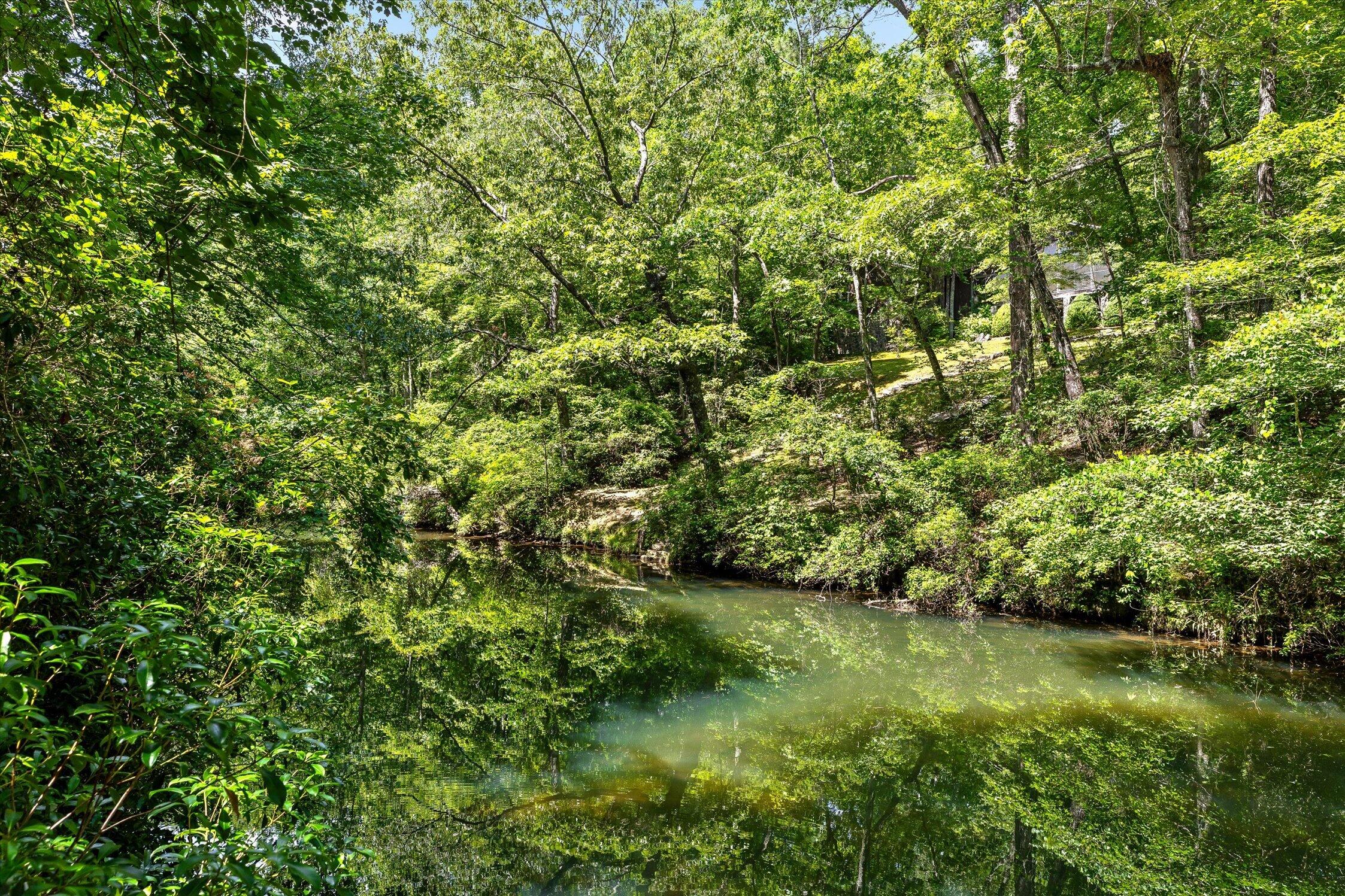 390 Moon Lake Road Mentone, AL 35984 - Photo 3 of 60 61-Moon Lake-61