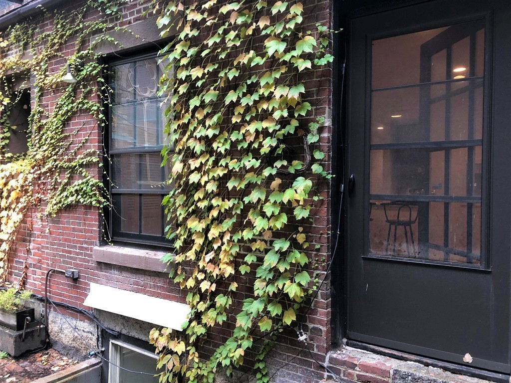 38 Temple, Unit 1 Boston, MA 02114 - Photo 16 of 18