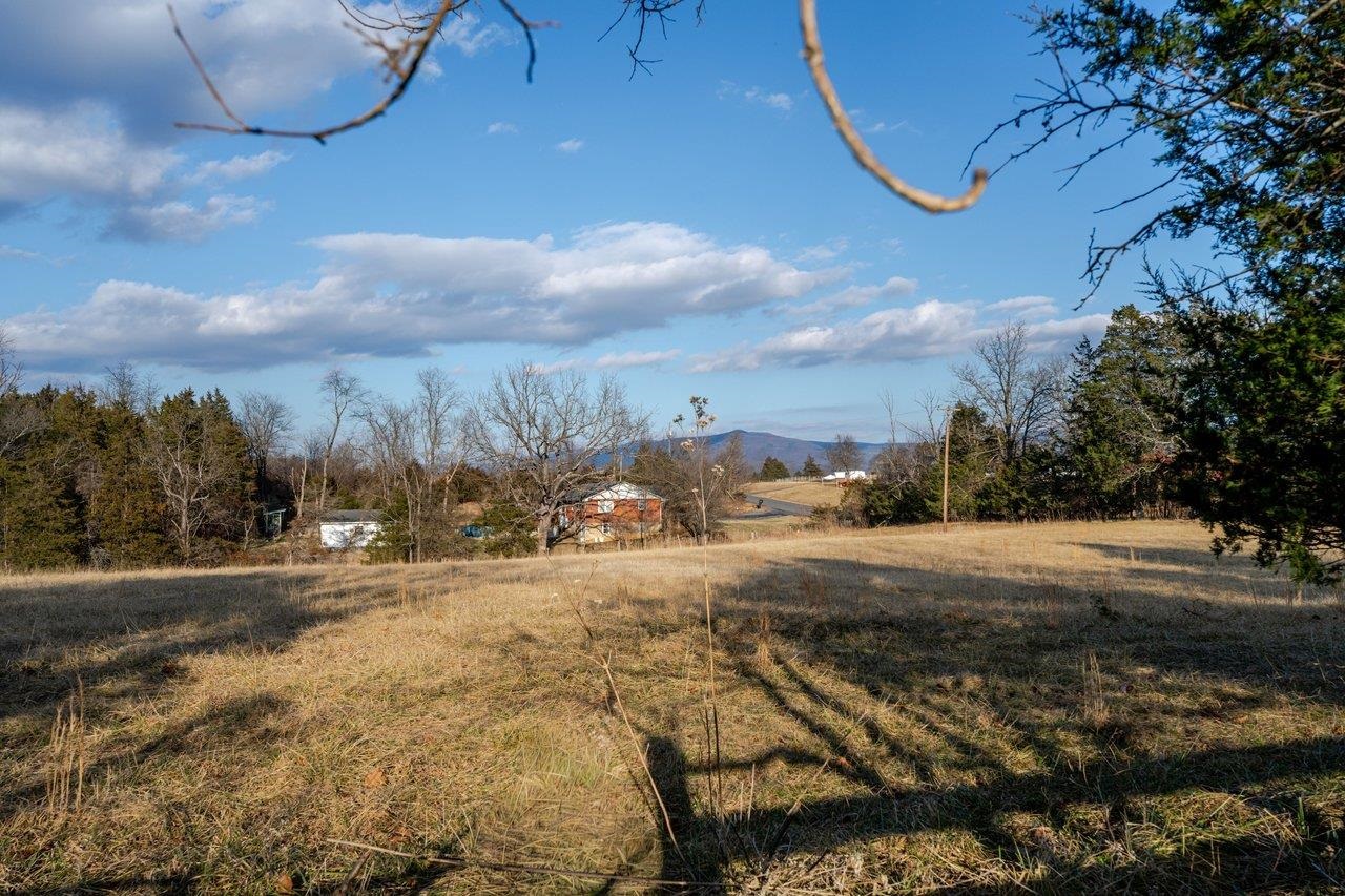 723 Sedwick Road Luray, VA 22835 - Photo 44 of 51 a view of dirt yard with large trees