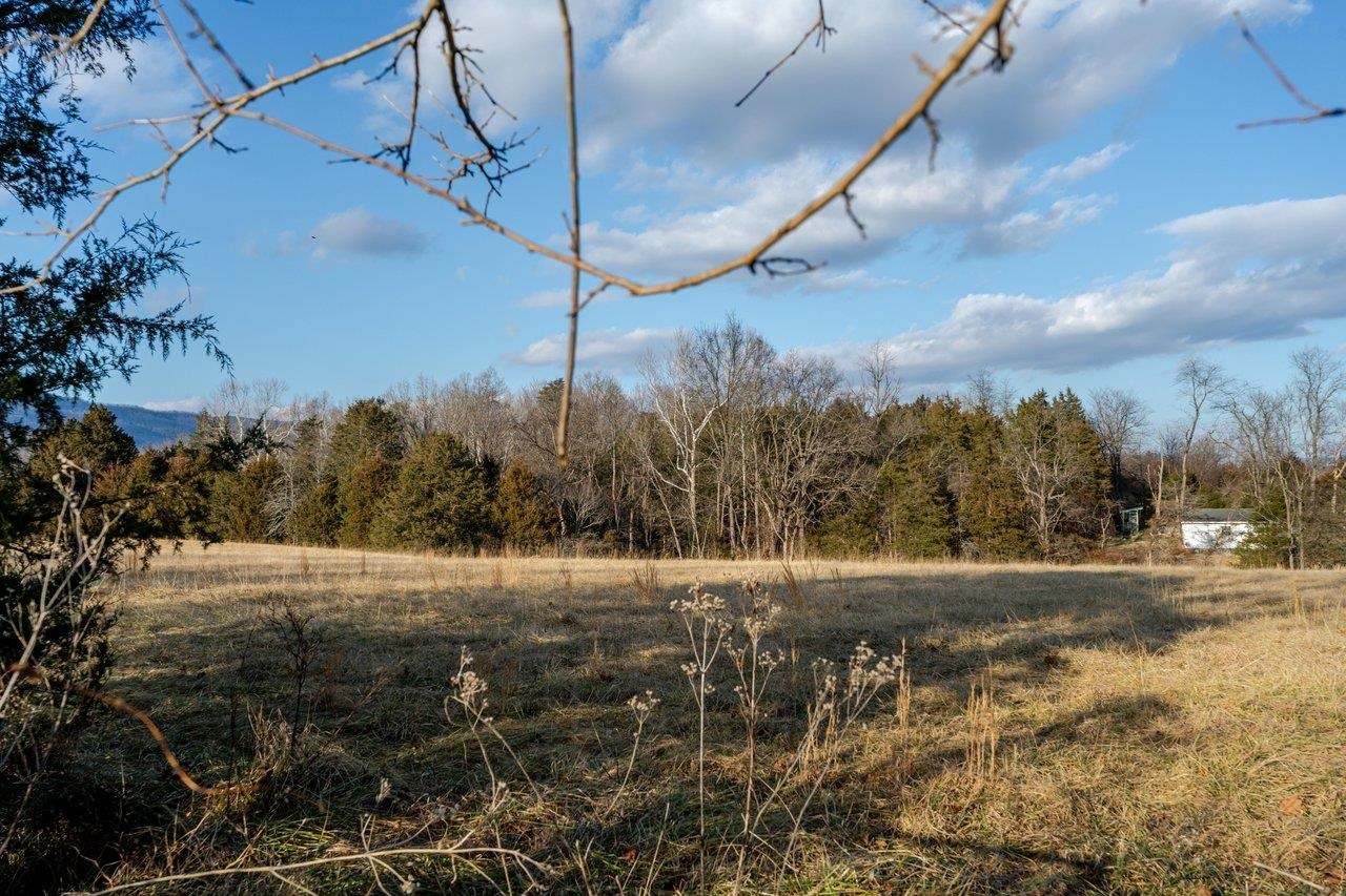 723 Sedwick Road Luray, VA 22835 - Photo 45 of 51 a view of mountains