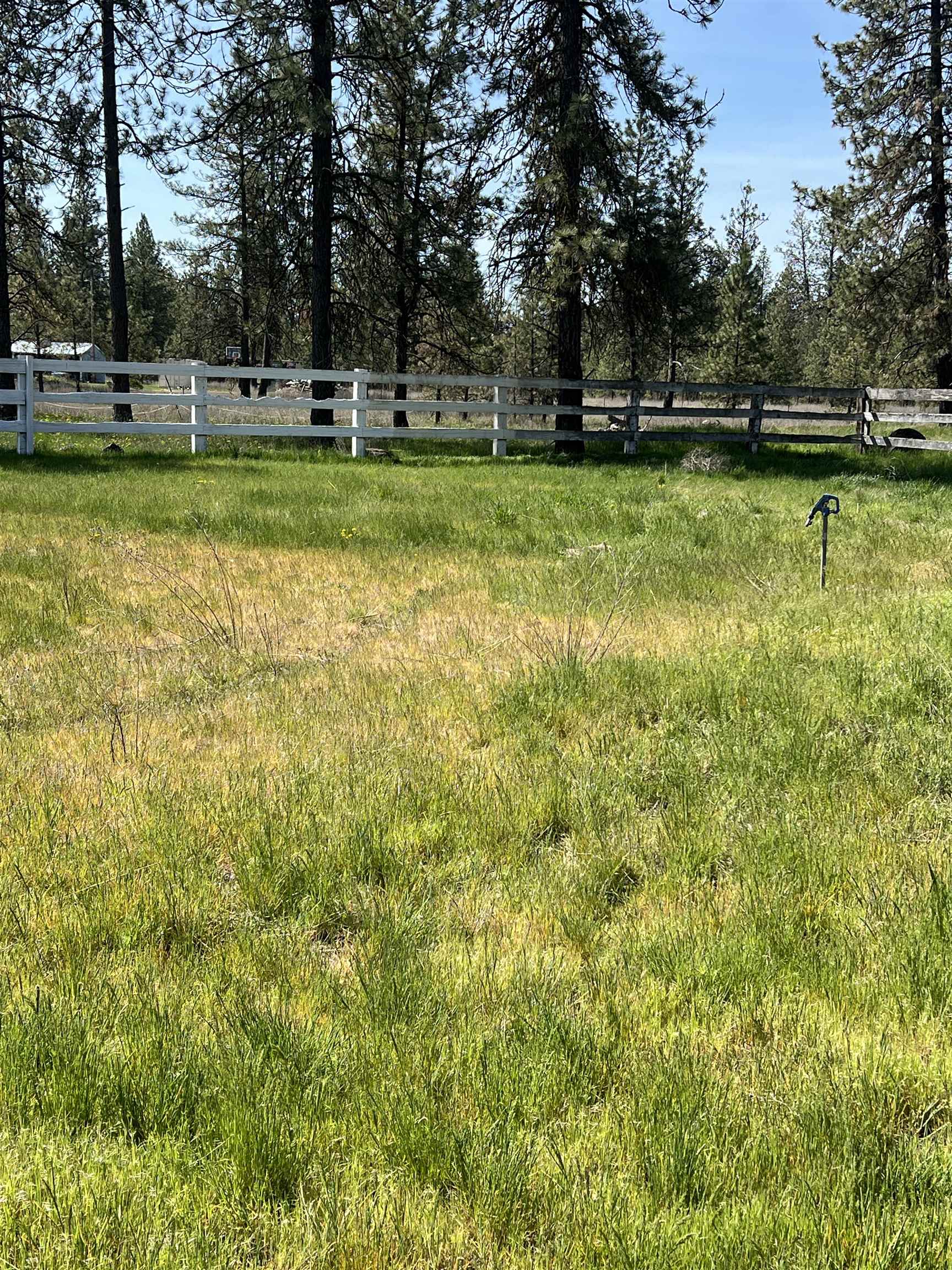 14313 Highway 904 Cheney, WA 99004 - Photo 48 of 49