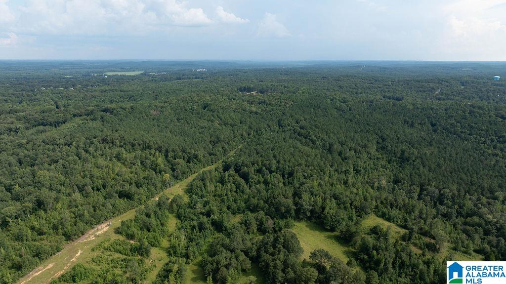 0 Wilkinson Road Fayette, AL 35555 - Photo 5 of 11