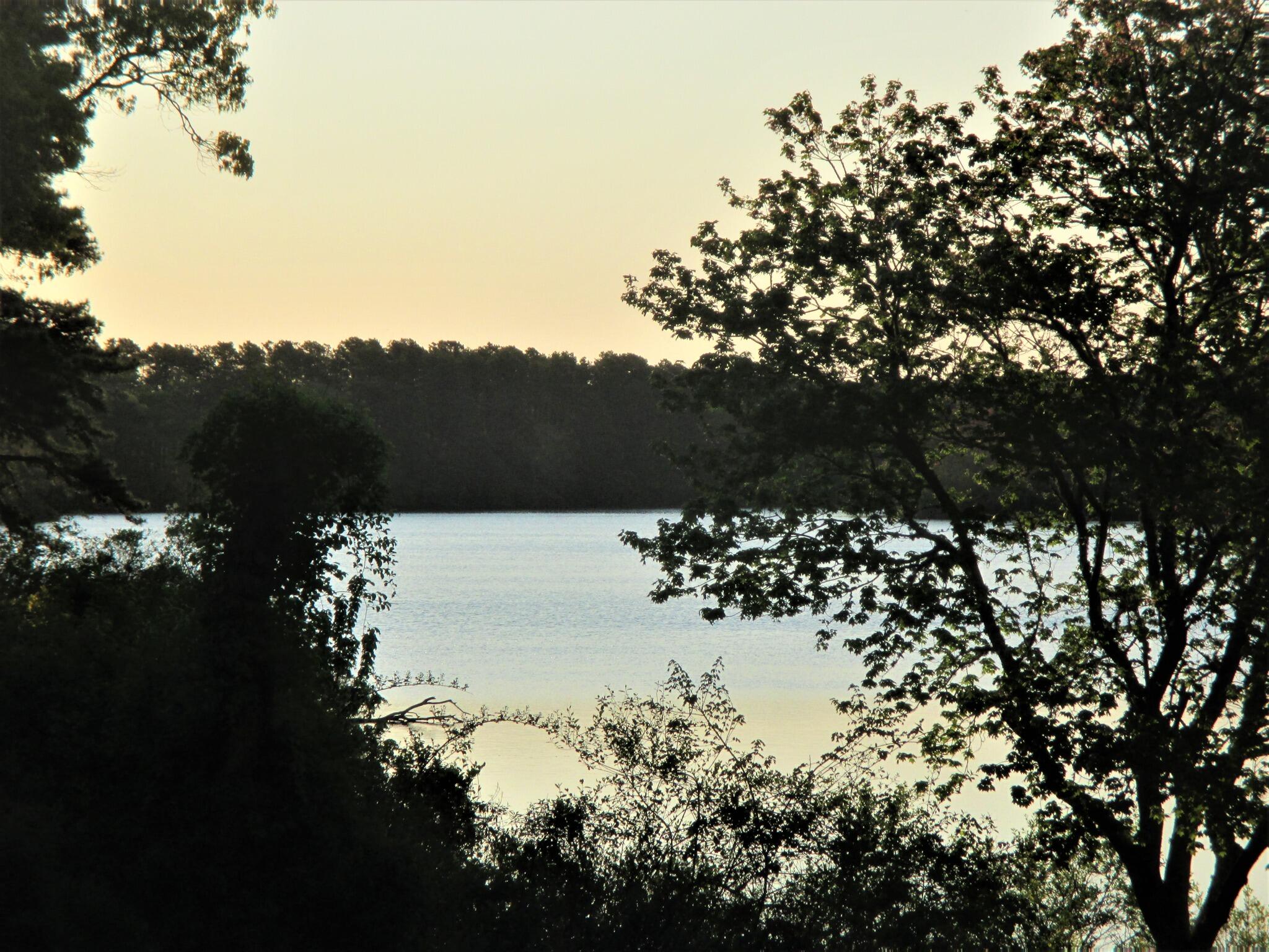 578 Huckins Neck Road Centerville, MA 02632 - Photo 43 of 51 shallow pond