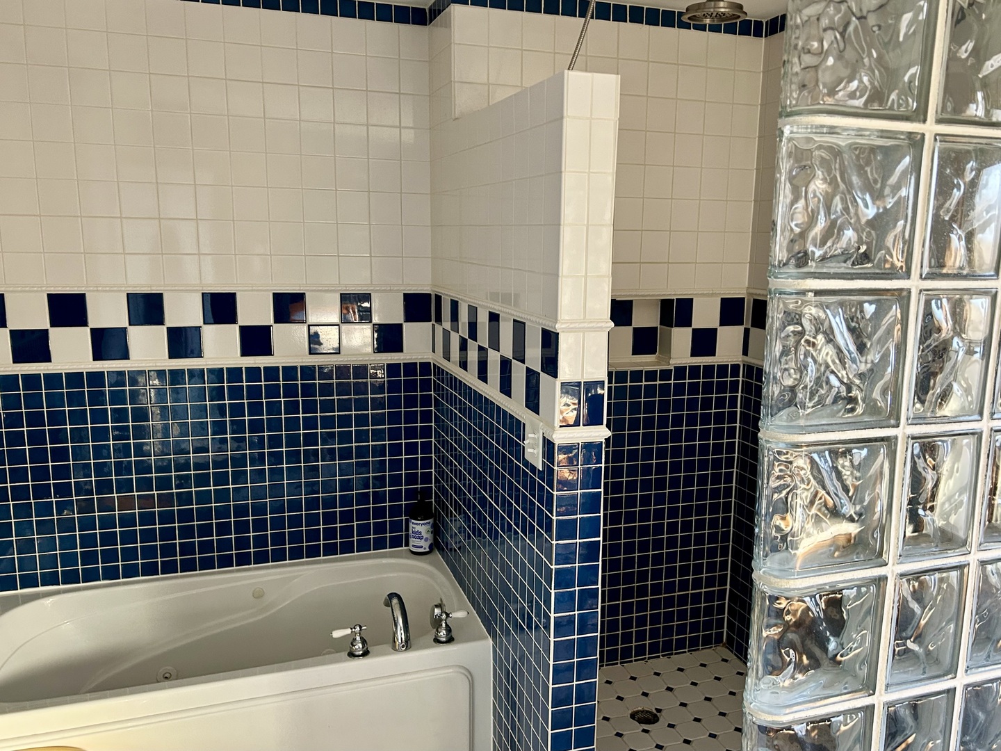 428 East Thompson Street Princeton, IL 61356 - Photo 11 of 22 a bathroom with a bathtub and shower