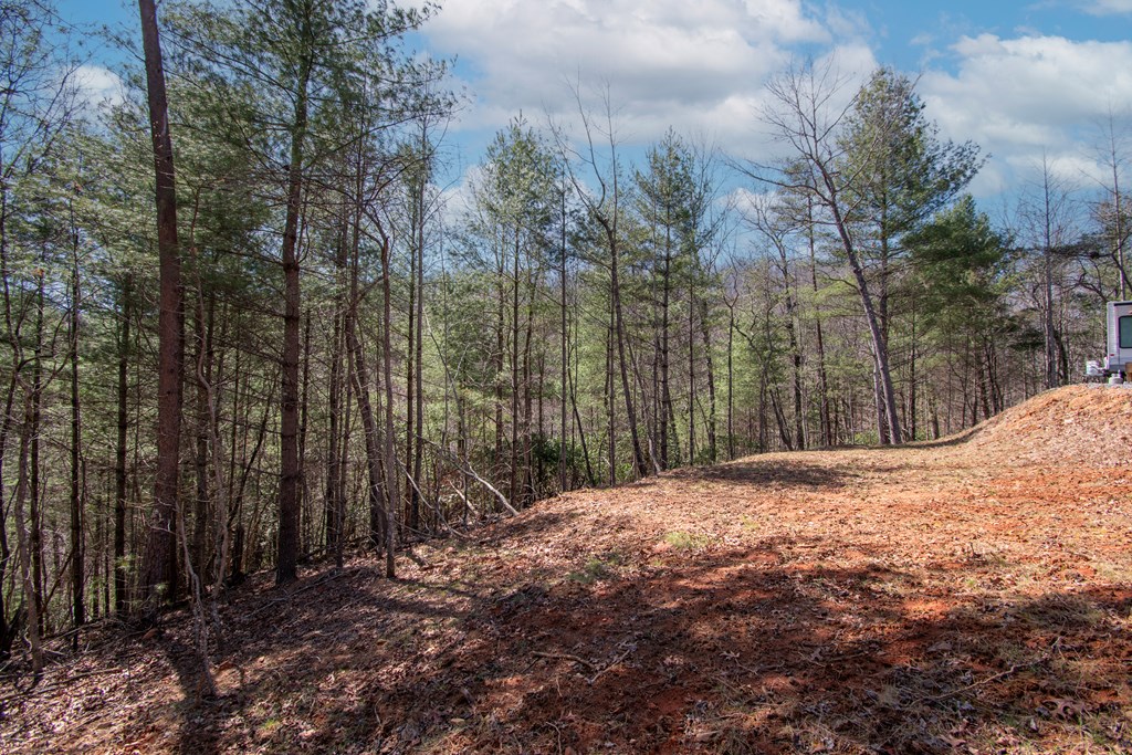 1456 Orton Road Murphy, NC 28906 - Photo 11 of 14