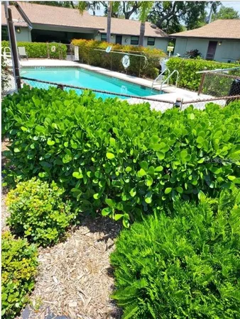 a view of a back yard with plants