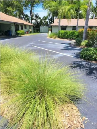 a view of swimming pool with lawn chairs and plants