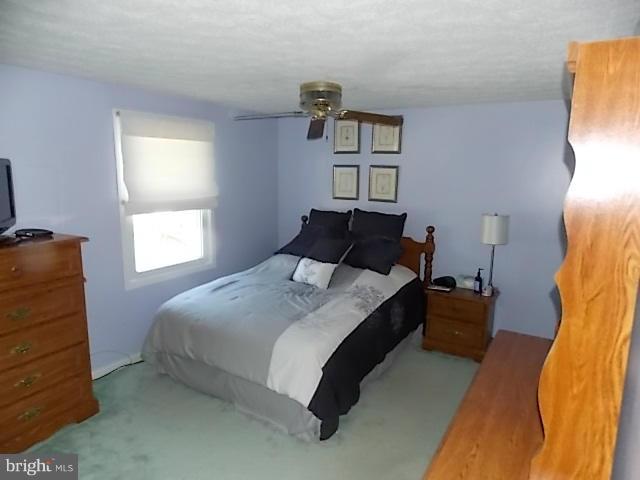 8591 Manorfield Road Baltimore, MD 21236 - Photo 8 of 25 Bedroom (Master)
